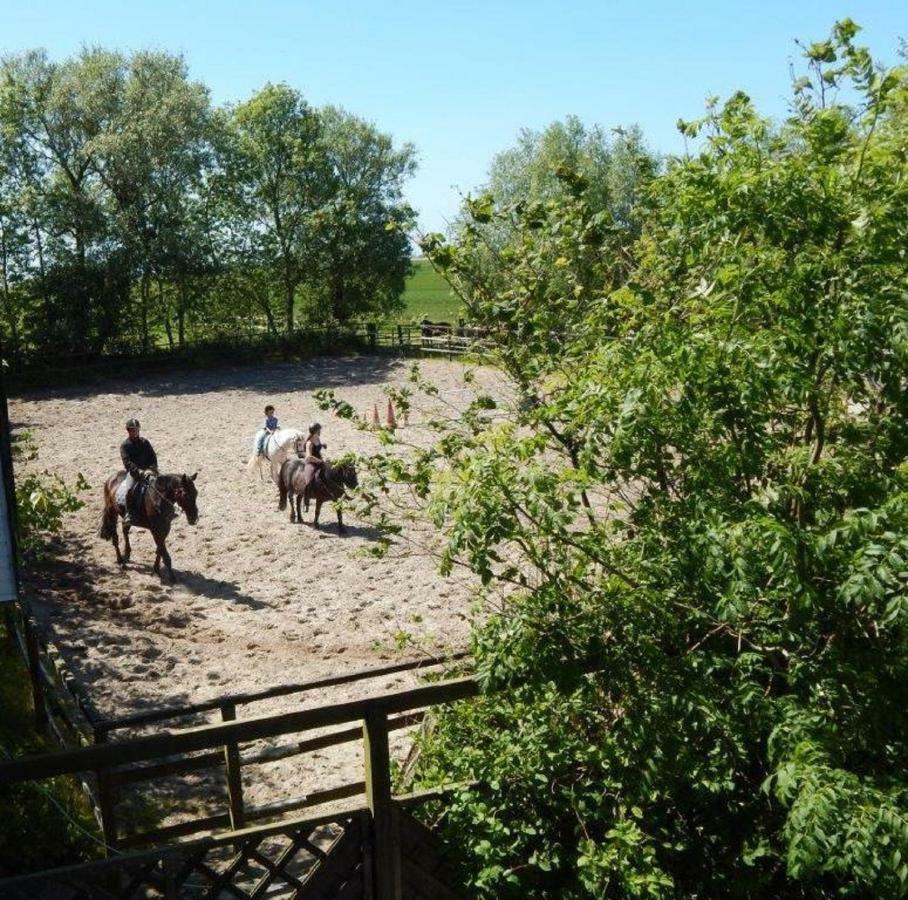 Ferienhof Frerichs Ihr Feriendomizil Am Meer ชิลลิคช์ ภายนอก รูปภาพ
