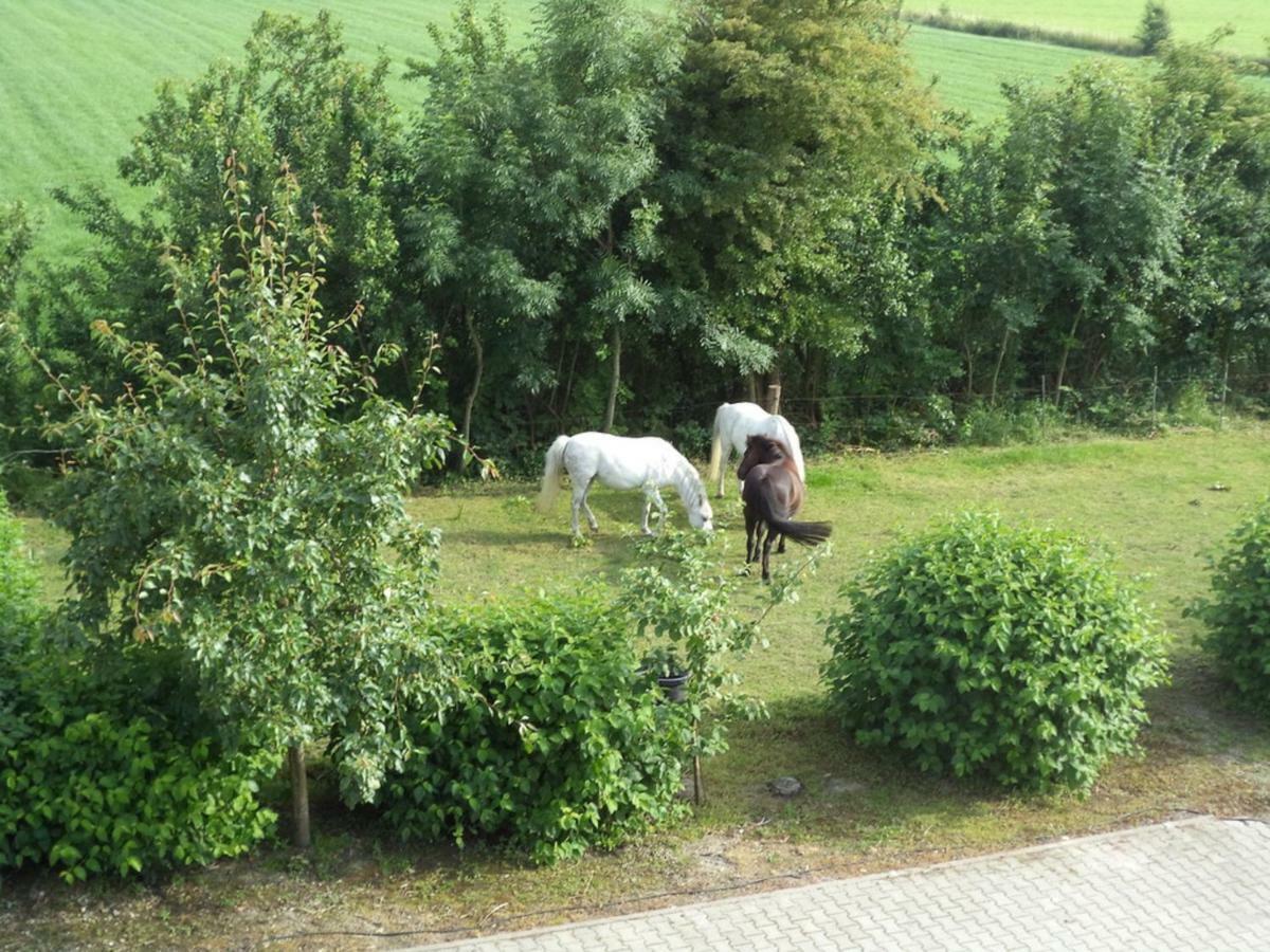 Ferienhof Frerichs Ihr Feriendomizil Am Meer ชิลลิคช์ ภายนอก รูปภาพ