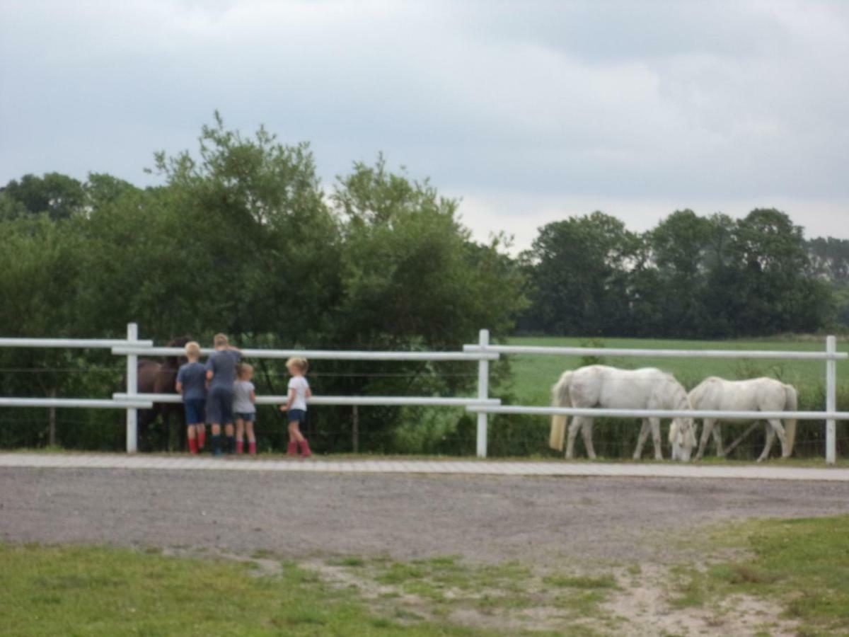 Ferienhof Frerichs Ihr Feriendomizil Am Meer ชิลลิคช์ ภายนอก รูปภาพ